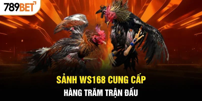 Sảnh Ws168 cung cấp hàng trăm trận đấu